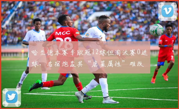 哈兰德本赛季欧冠12球但淘汰赛0进球，名宿炮轰其“虐菜属性”难改