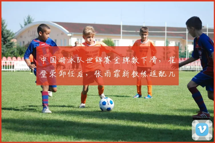 中国游泳队世锦赛金牌数下滑，崔登荣卸任后，张雨霏新教练适配几何？